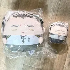 ハイキュー くじメイト ぬいくじ C賞 D賞 木兎光太郎