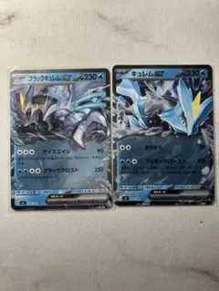 ブラックキュレムex 204/742