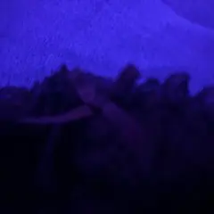 シミ