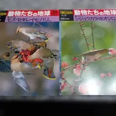 2026年最新】週刊 野鳥の世界の人気アイテム - メルカリ