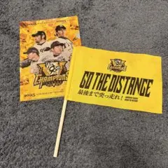 阪神タイガース　入場特典 ファイル　セット