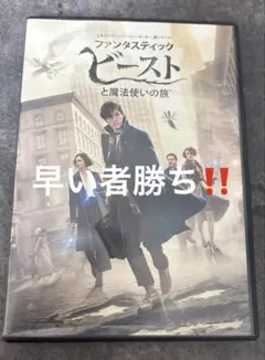 [即日発送]ファンタスティック・ビーストと魔法使いの旅DVD