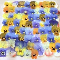 Cui_Cui販売終了様 リクエスト 2点 まとめ商品