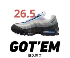 ナイキ エア マックス 95 Cool Grey/Blue Spark