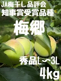 당일 수확 배송 우메사토 슈힌 L ~ 3L 4kg
