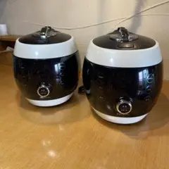 2025年最新】酵素玄米 炊飯器 laboの人気アイテム - メルカリ