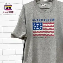 【海外直輸入アメリカ古着】ビッグサイズ Tシャツ＿メンズ＿サイズ：2XL