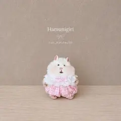 2079. はむにぎり ぬい服 ෆ̈ レース つけ襟 & かぼちゃパンツのサムネイル