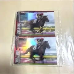 オルフェーヴル 日本ダービー GI 2011 金箔押サイン入りカード 2枚セット