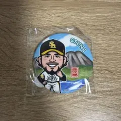 即購入⭕️ 福岡ソフトバンクホークス ロベルト・オスナ選手54番 若鷹