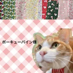 ポーキューパイン様 リクエスト 4点 まとめ商品