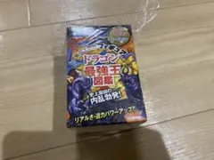 ドラゴン最強王図鑑 シークレット①