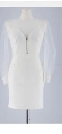 DAZZYモノトーンフロントジップサイトしあー長袖タイトミニドレス