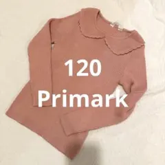 イギリス購入　Primark 襟付きニット