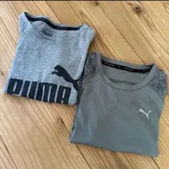 Item thumbnail for item 072a1dd0-f0a8-4b8e-98c3-358ef1b2041a