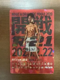 Item thumbnail for item b7169f95-cc69-4fd2-a88c-c3e61c4097d5