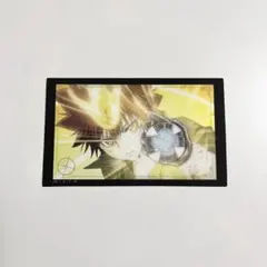 家庭教師ヒットマンREBORN! 沢田綱吉 クリアカードコレクション