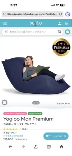 ぽぽらす専用　 Max Premium ビーズクッション 本体 ぽぽらす専用 Max Premium ビーズクッション 本体 - メルカリ