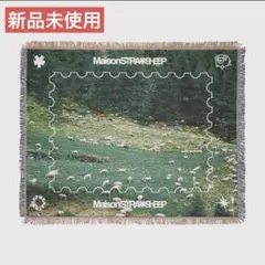 新品・未使用品　 MAISONSTRAYSHEEP RUG GREEN ラグ STRAYSHEEP RUG GREEN