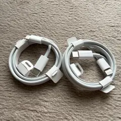 アプッル　純正　Lightningケーブル 2本セット USB-C