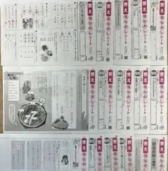 小4 国語　見なおしシート　明治図書　令和7年度 4年生　カラーテスト　四年生のサムネイル