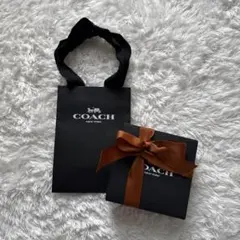 COACH ギフトボックスとショップ袋 セット