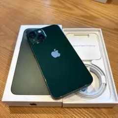 iPhone 13 なっち様用