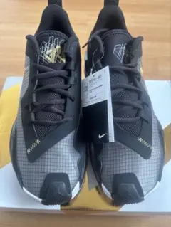 Nike Jordan スニーカー ブラック/グレー/ゴールド