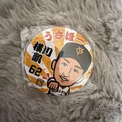 Item thumbnail for item 6f4d7d8d-2300-4079-a940-9097d98c5572