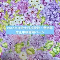 coco＊@金土日祝受取・発送等休止中様専用ページ