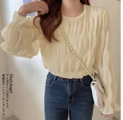 ダークエンジェル　ブラック　シフォン ブラウス 長袖