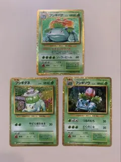 進化セット】旧裏 フシギバナ フシギソウ フシギダネ 6枚セット