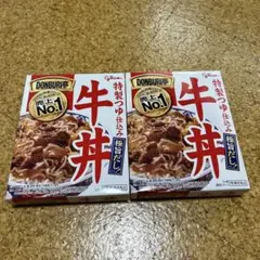 【新品未開封】Glico DONBURI亭 牛丼 2個セットのサムネイル