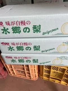 千葉産梨豊水1箱5kg大3箱まとめてお買得最終便 千葉梨豊水1箱5k大3箱まとめてお買得 - メルカリ