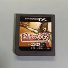 采配のゆくえ　JOEI DSソフト