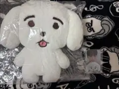 SF9 ジェユン ジェンベックJAENG109 セット SF9 ジェユン JAENG109 ジェンベック アクリルキーリング トレカ