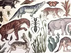 ［ニョッキさま専用］売切れ　アロマミストディフューザーＹＵＮ