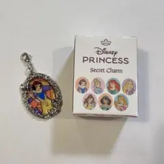 ディズニープリンセス シークレットチャーム ステンドグラス風 白雪姫