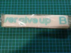 Item thumbnail for item 89d722ed-52c0-452b-a161-09f729212320