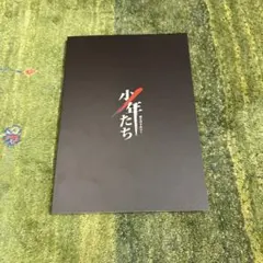 少年たち 闇を突き抜けて パンフレット