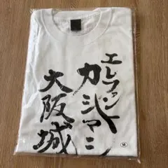 エレファントカシマシ野音半袖スナップシャツ M エレファントカシマシ 野音 半袖スナップシャツ Mサイズ 宮本浩次