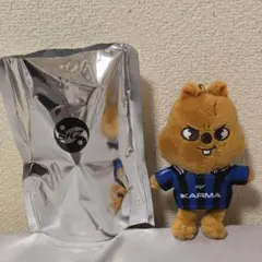 Stray Kids スキズ SKZOO ぬいぐるみ ハン クォッカ KARMA