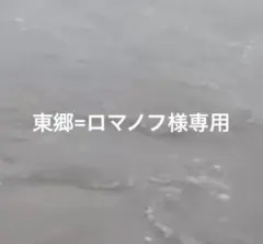 Item thumbnail for item 74af93d3-3975-4d8a-a223-79bdf3a322b8