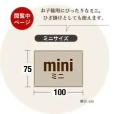 ブランケット　ミニサイズ　約75cm×約100cm