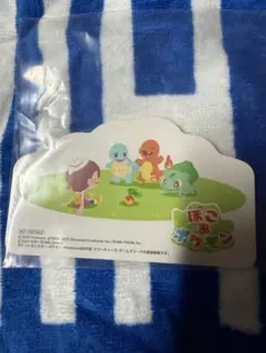 ぽこ あ　ポケモン ステッカー