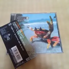 PRODIGY　【the fat of the land】