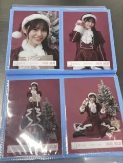 櫻坂46 生写真 向井純葉 2025年 サンタ衣装 コンプ
