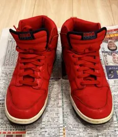 NIKE ナイキ ダンク ハイ オリンピック/USA 317982-609