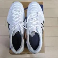 asics DS LIGHT PRO WIDE 27.5cm ホワイト/ブラック