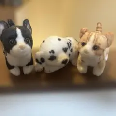 リアルねこぬいぐるみ　チェーンストラップのサムネイル